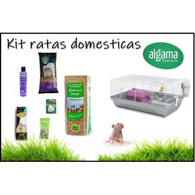 Kit completo para ratas domesticas 